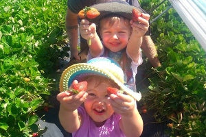 Top recipes for seasonal eating!