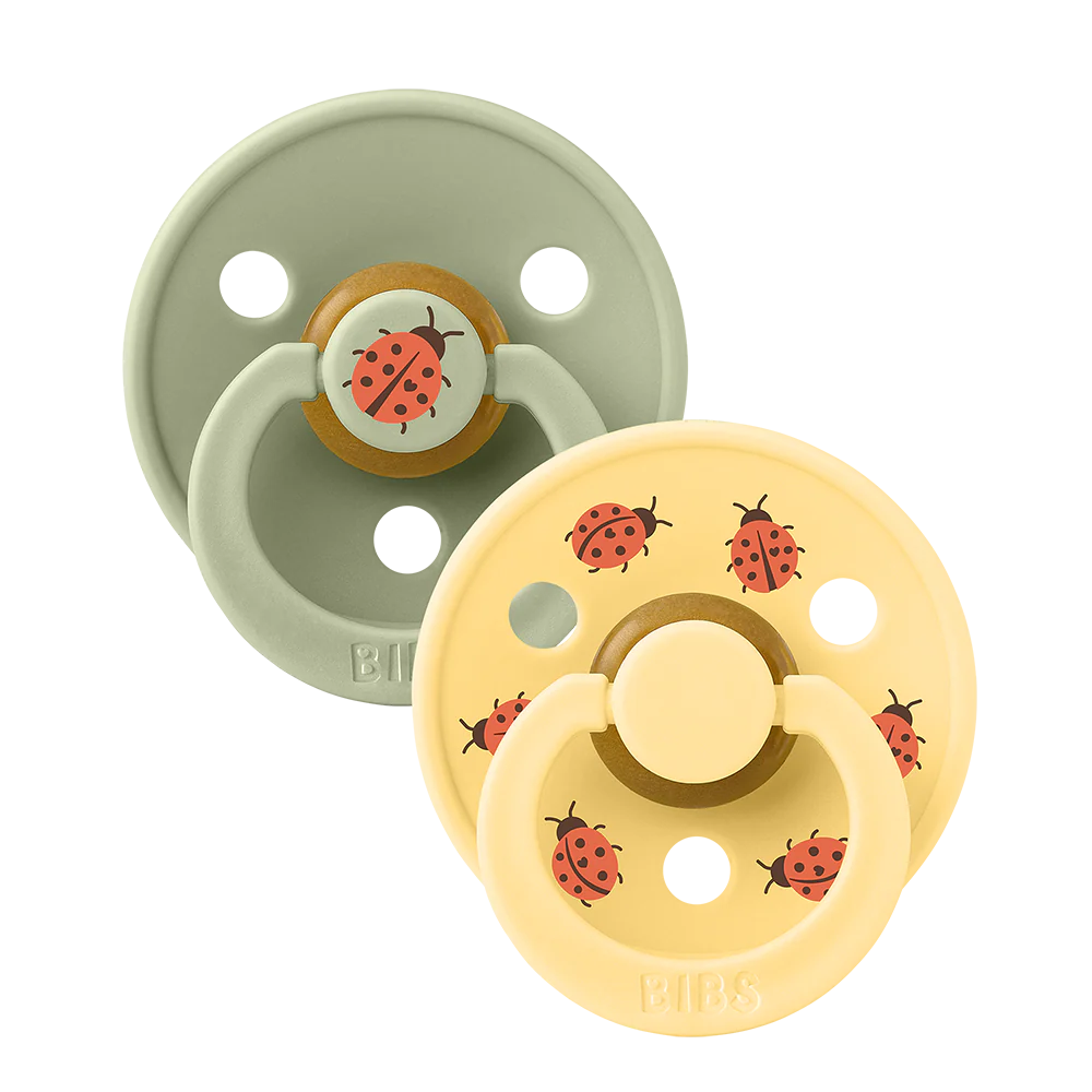 Bibs Round Natural Dummy Pacifier - Urban Garden - Ladybug Sage Mix