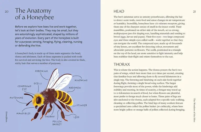 Honeybees: The Wonders of the Hive and How to Help Them Thrive