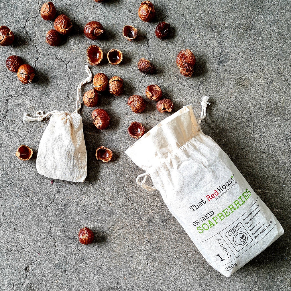 Organic Soap Berries (Soap Nuts) Natural Laundry Detergent