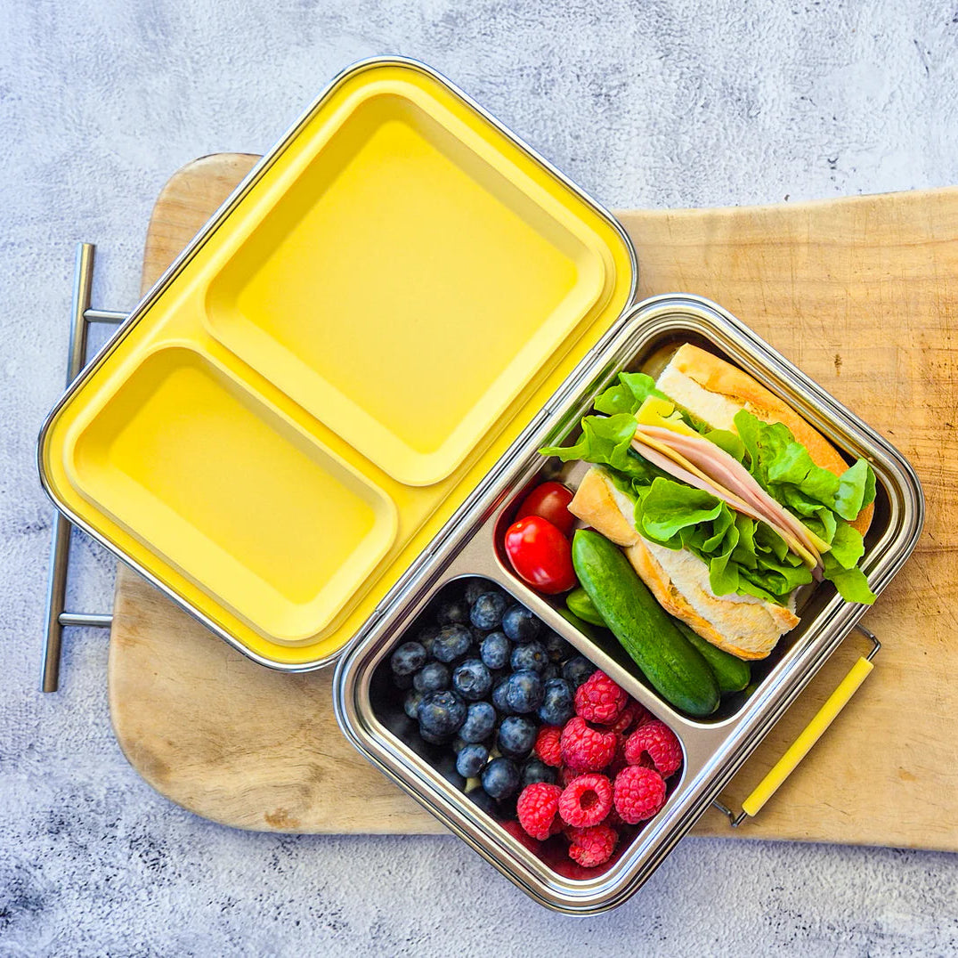 EcoCocoon Bento Lunch Boxes - 2 Compartment