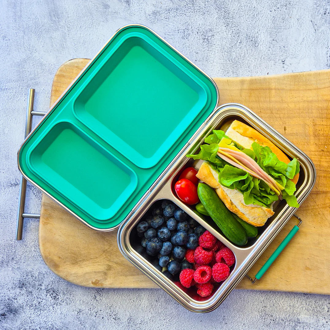 EcoCocoon Bento Lunch Boxes - 2 Compartment