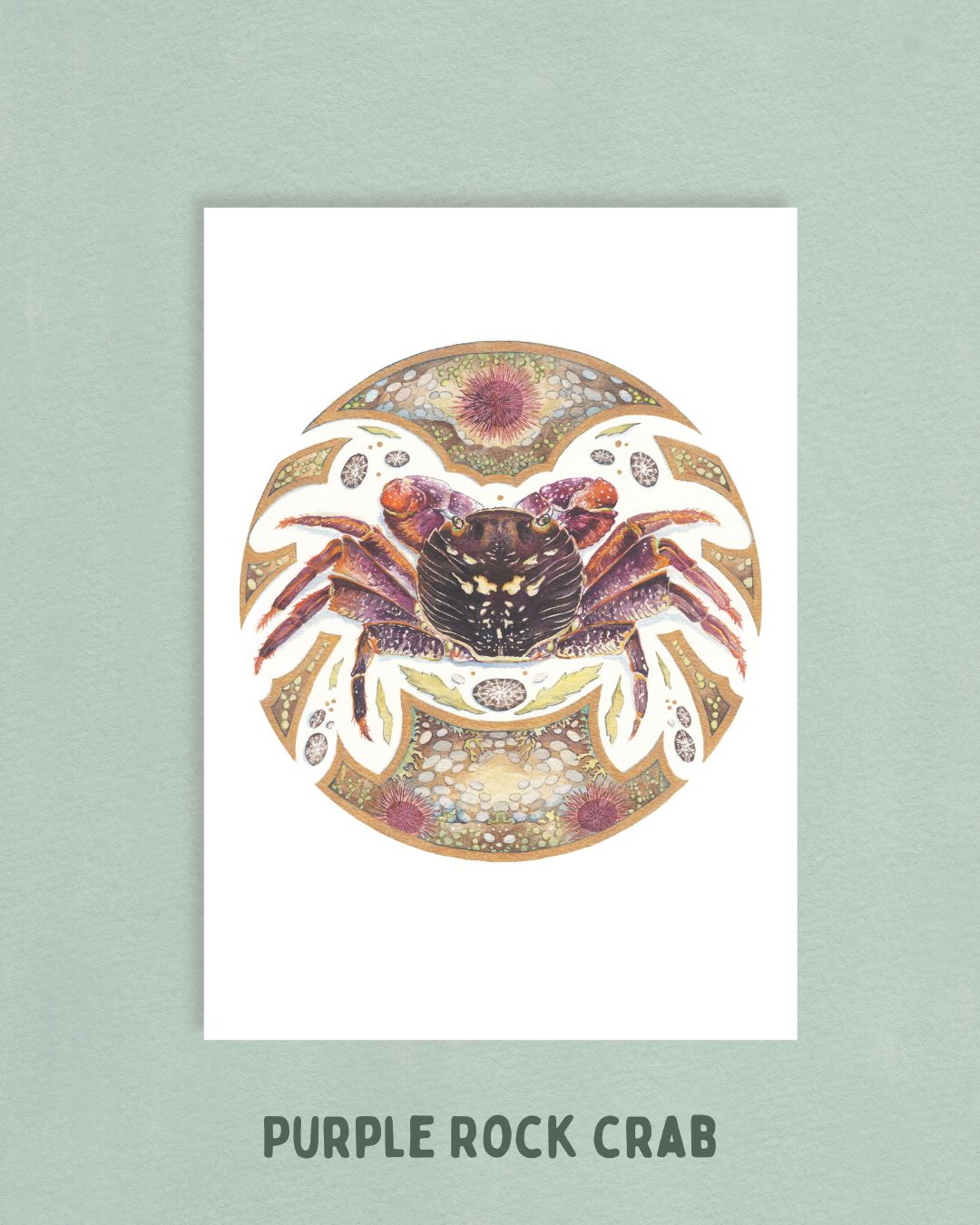 Ingrid Bartkowiak 2027 Wall Calendar - Coastal