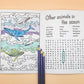 Sunshine Sea Art Activity Book - Whale
