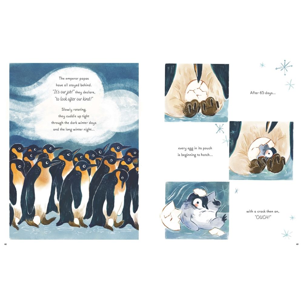 5 Minute Ocean Stories