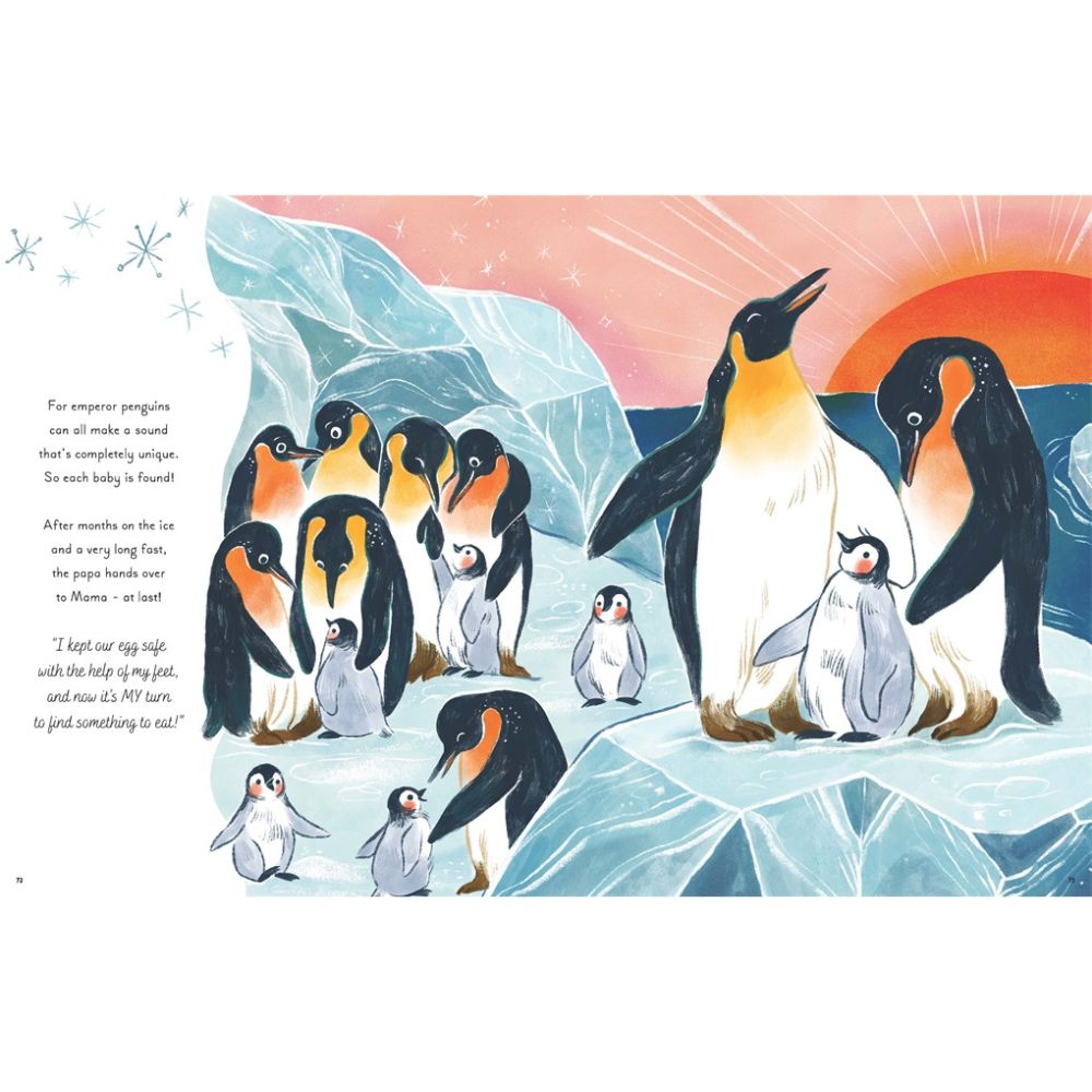 5 Minute Ocean Stories