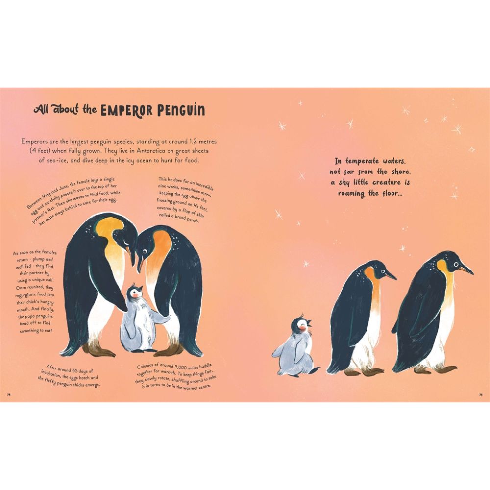 5 Minute Ocean Stories