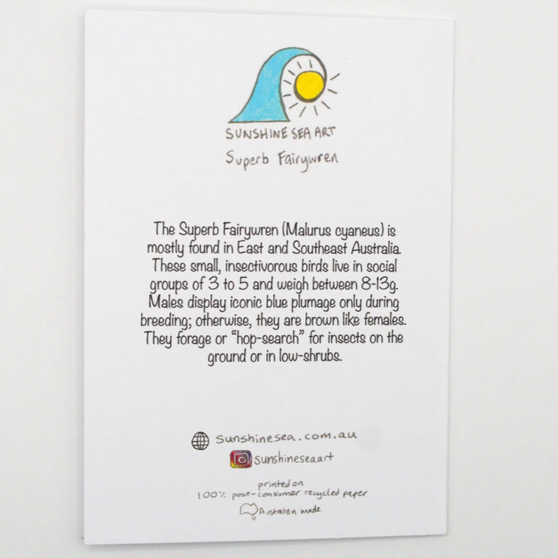 Sunshine Sea Art Greeting Card - Superb Fairy Wren