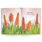 Affirmations Nature Diary 2027