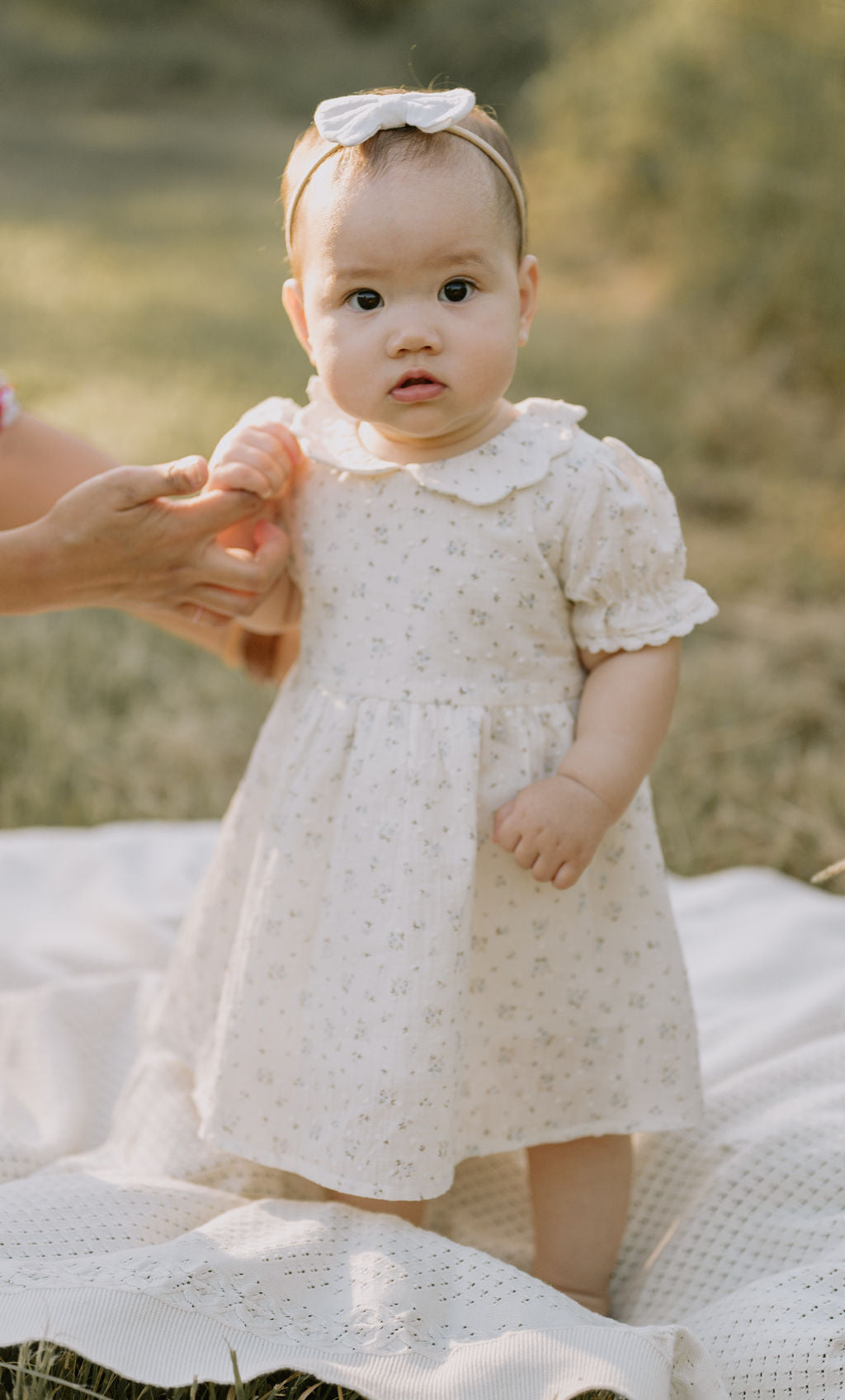 Aster & Oak Sofia Floral Dress