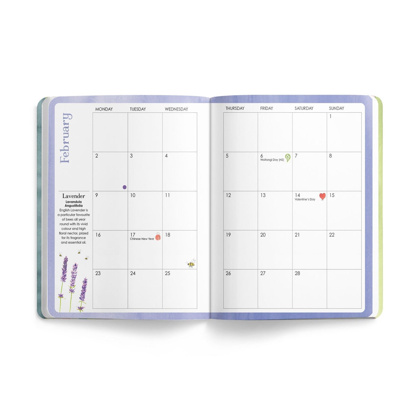 Affirmations Complete Bee Bundle