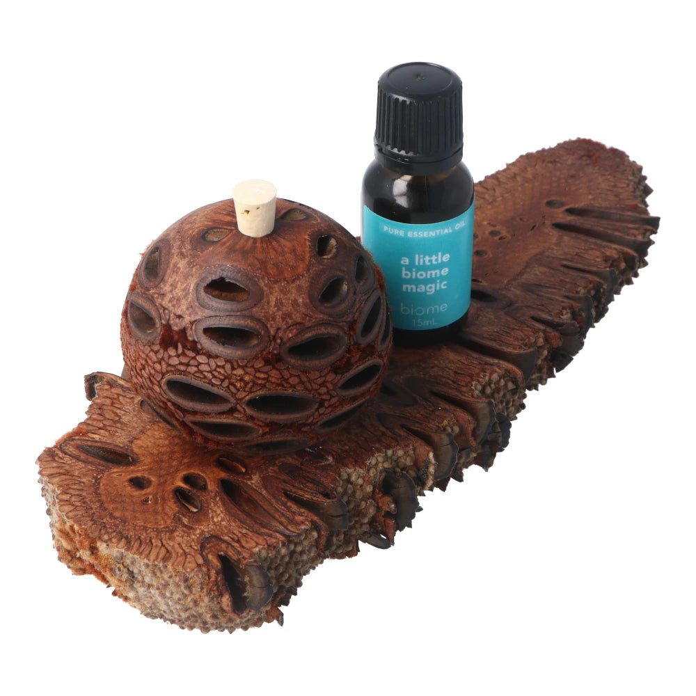 Banksia Aroma Pod & Essential Oil STAND