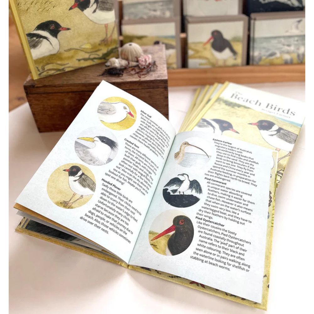 Bridget Farmer Lift-the-Flap Book - The Beach Birds