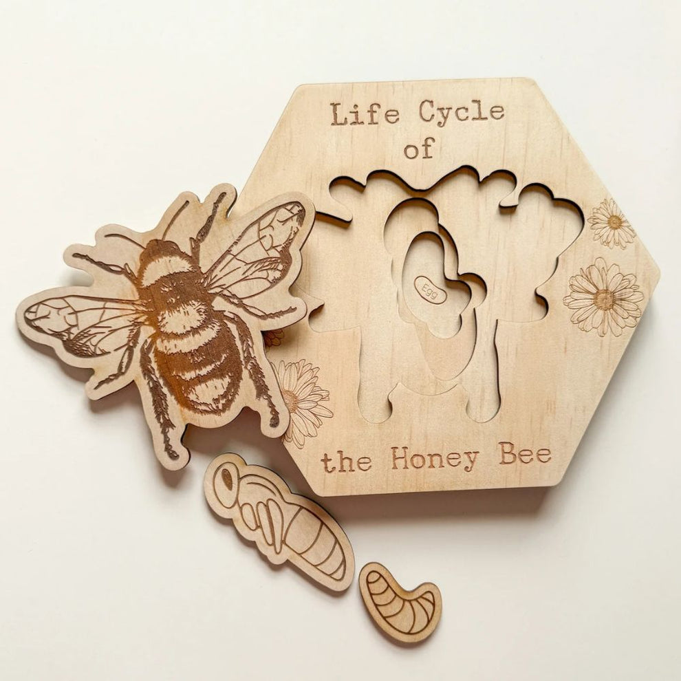 Buy Bandicute Wooden Bee Life Cycle Puzzle Online