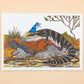 Sunshine Sea Art Greeting Card - Blue-Tongue Lizard
