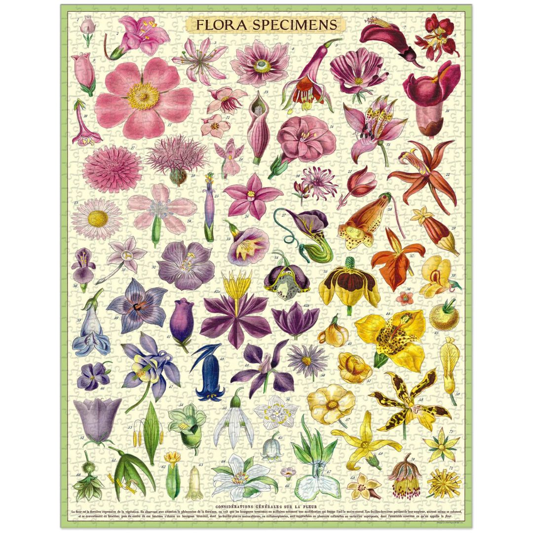 Cavallini Vintage Jigsaw Puzzle 1000 Piece - Flora Specimens