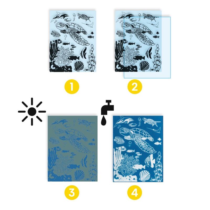 Djeco Ultramarine Cyanotype Workshop