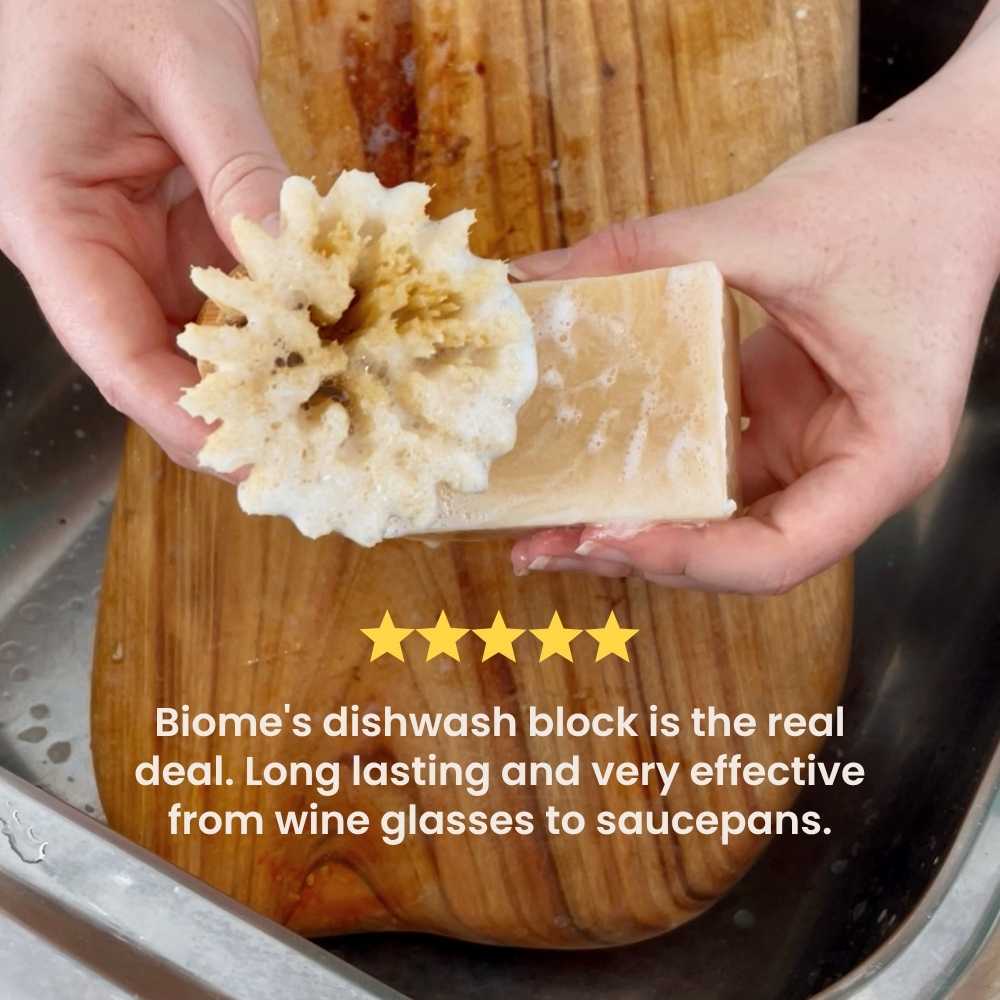 The Dishwash Soap Block by Biome