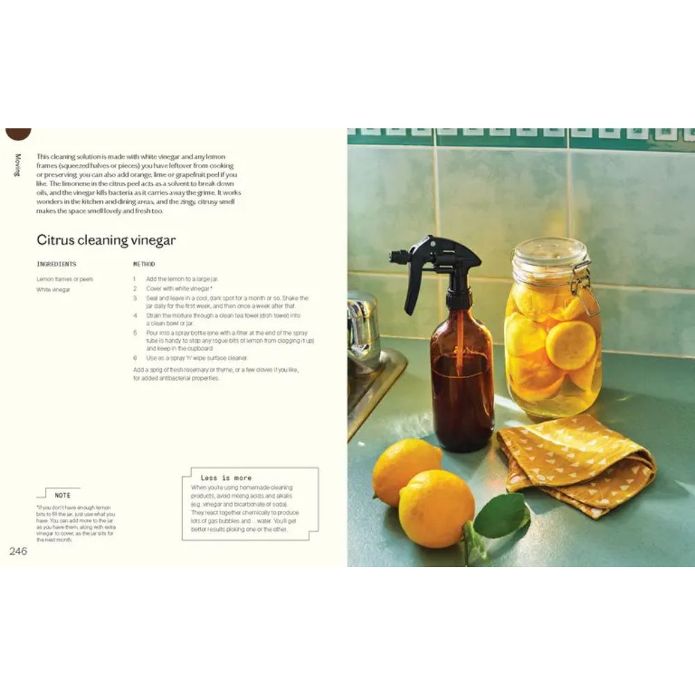 Everyday Permaculture