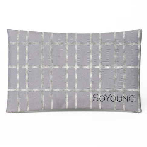 SoYoung No-Sweat Ice Pack for Lunch Boxes