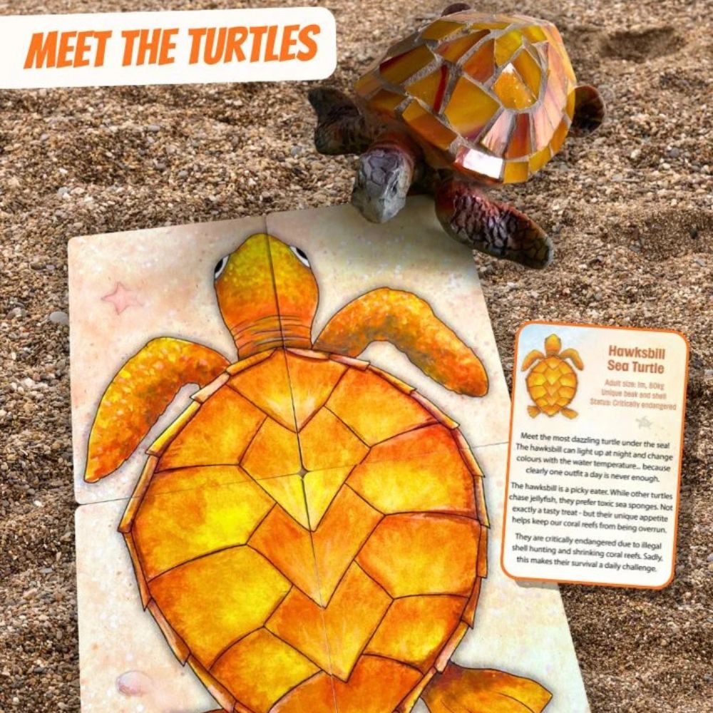 Gumnut Trails Turtle Moon Family Card Game