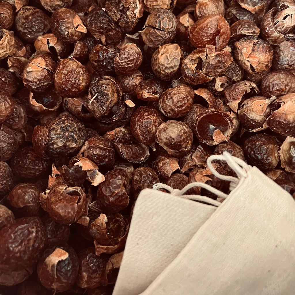 Organic Soap Berries (Soap Nuts) Natural Laundry Detergent