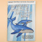 Sunshine Sea Art Activity Book - Whale