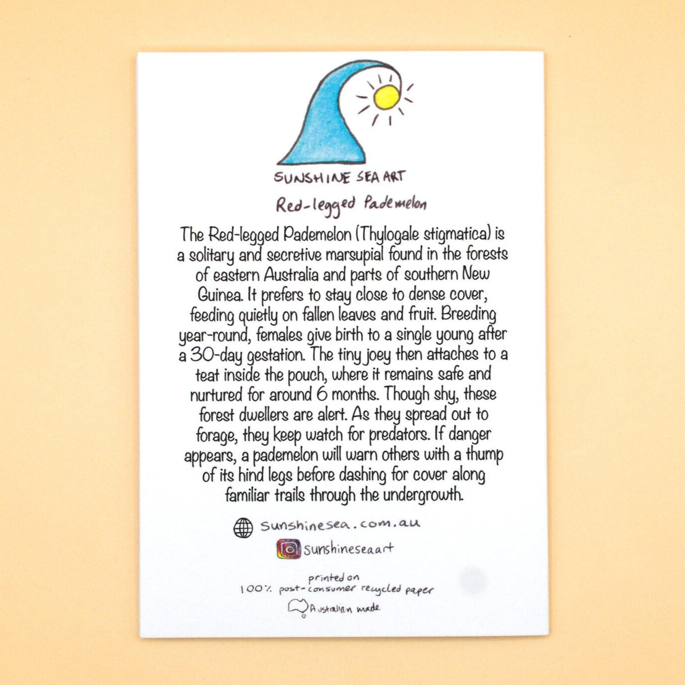 Sunshine Sea Art Greeting Card - Pademelon