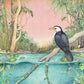 Ingrid Bartkowiak Art Card - Little Pied Cormorant/Bitter Springs