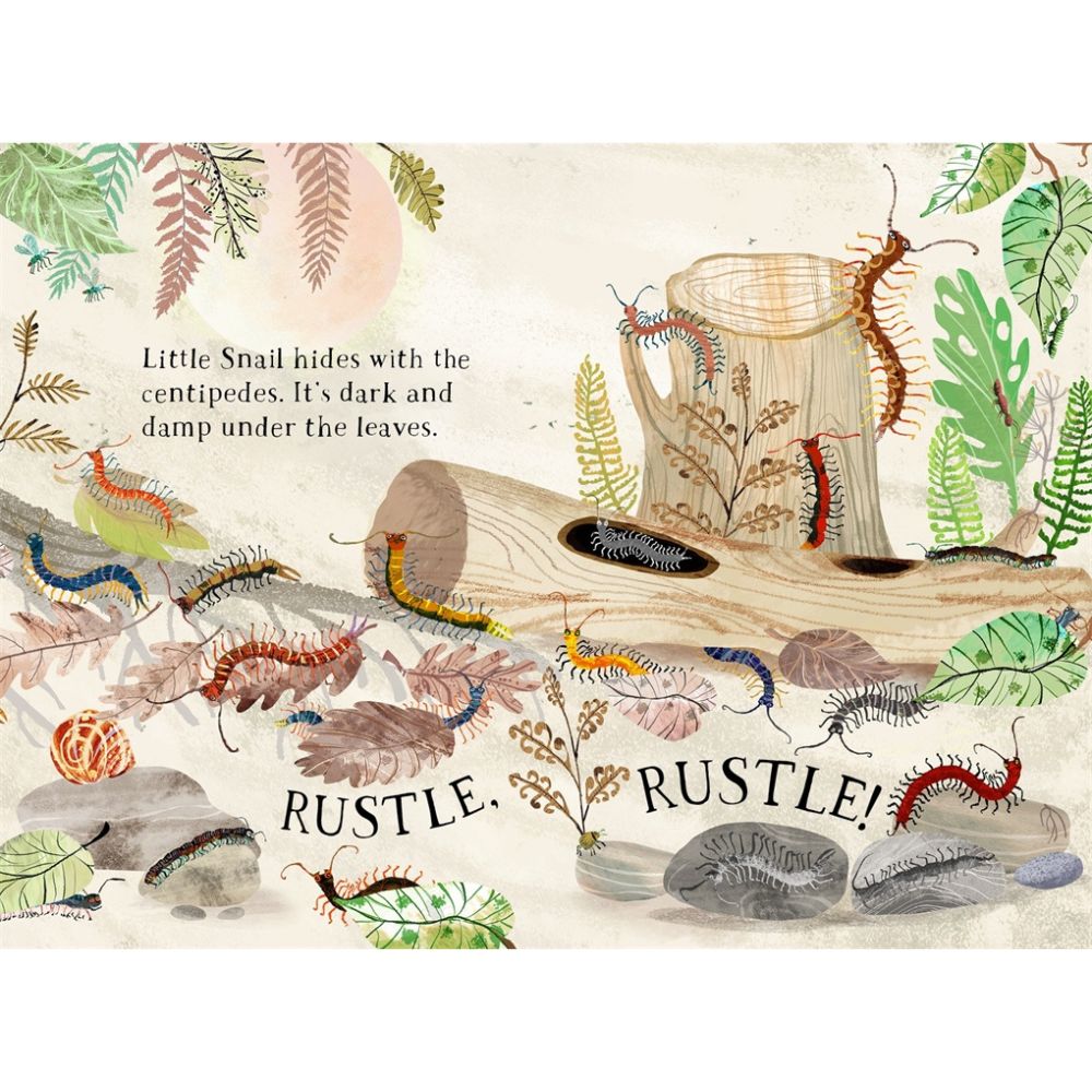 Little Snail's Book of Bugs