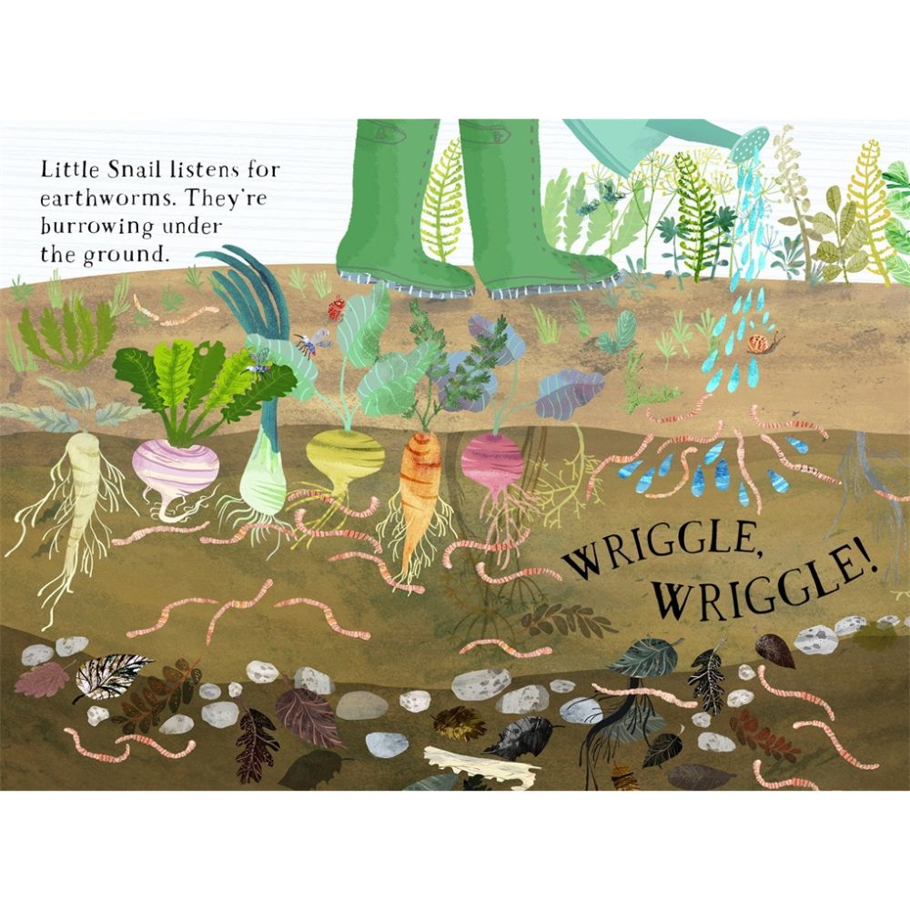 Little Snail's Book of Bugs