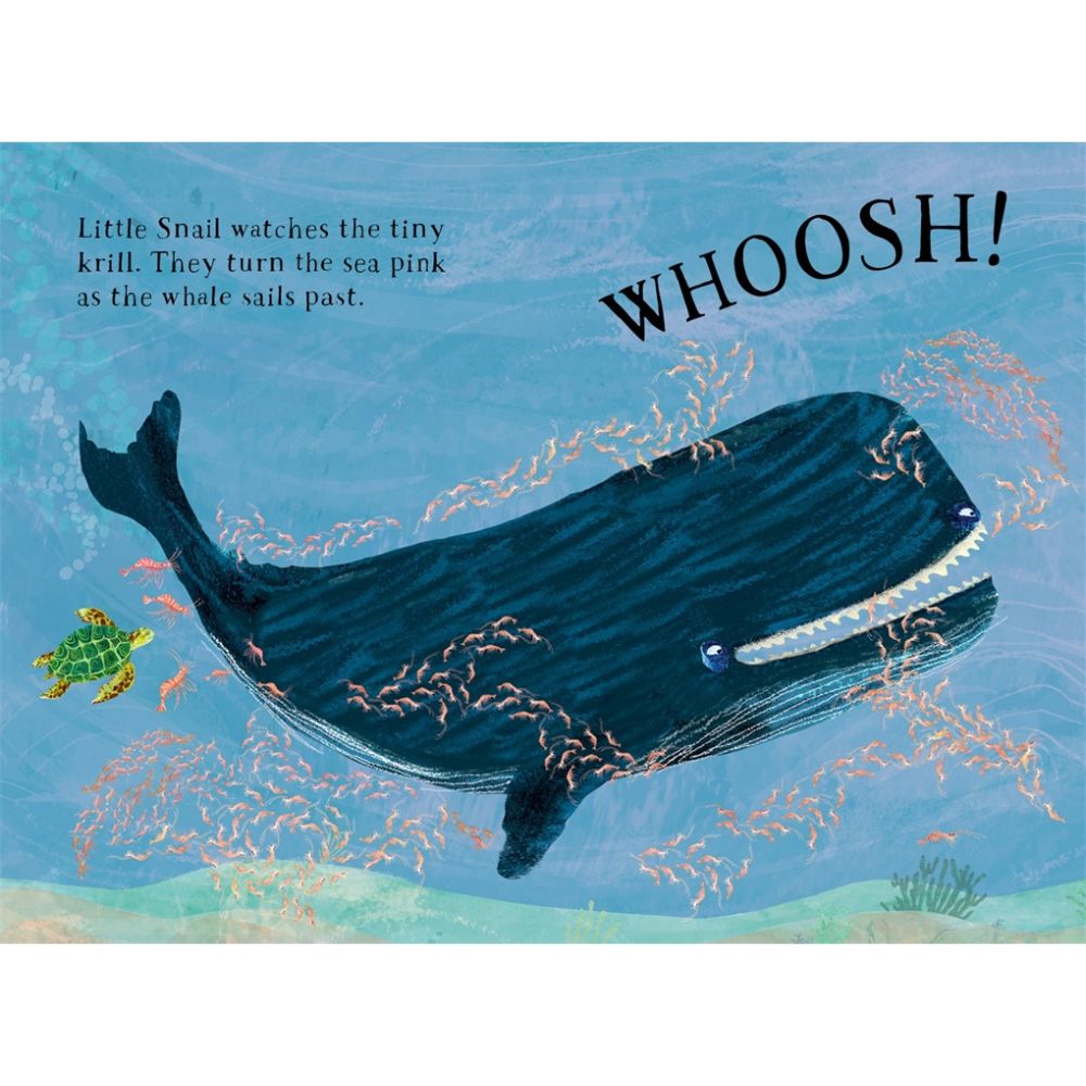 Little Turtle's Book of the Blue