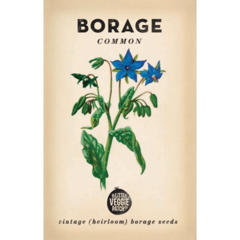 Little Veggie Patch Heirloom Seeds - Borage (Common)