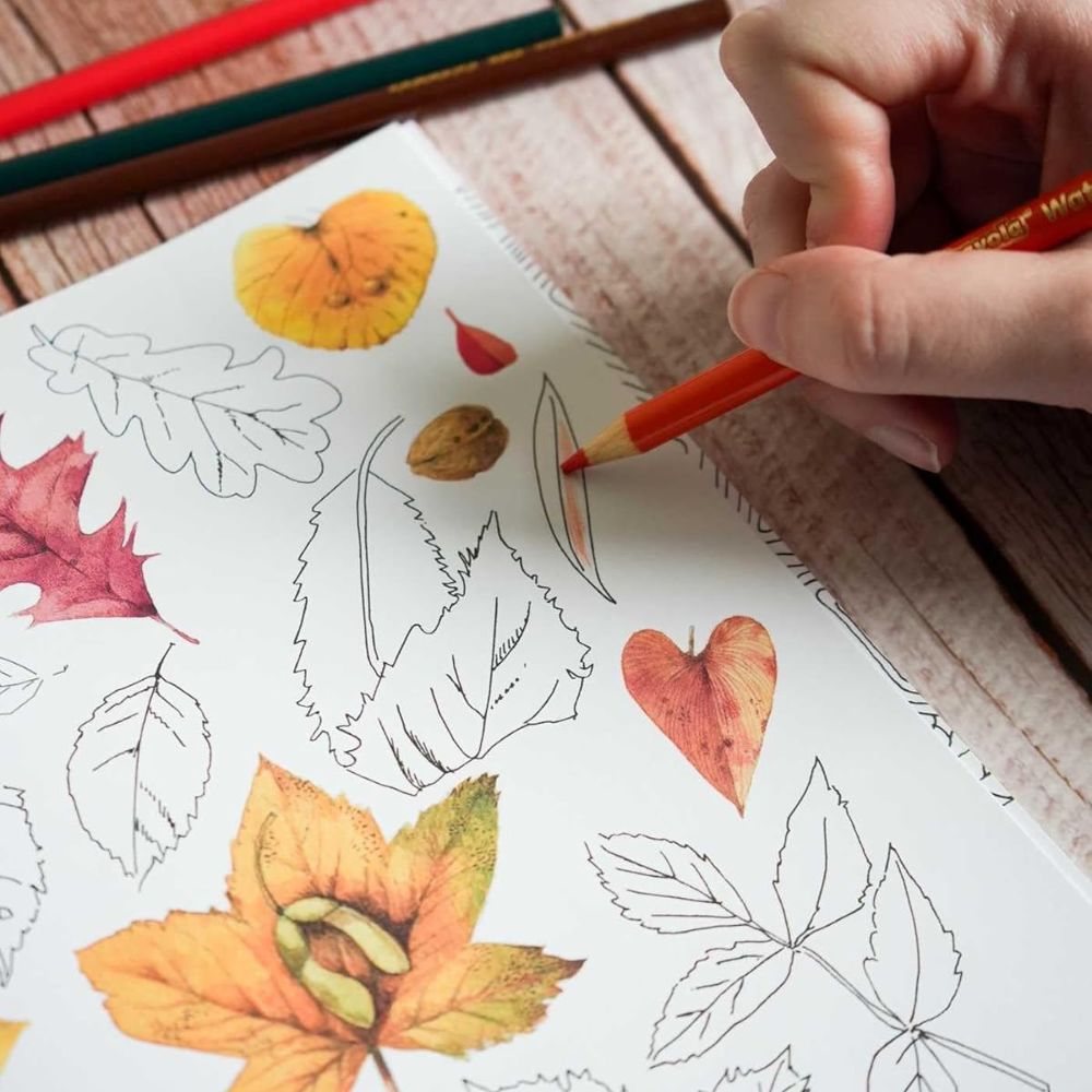 Magical Nature: Coloring Pages for Relaxation and Happiness
