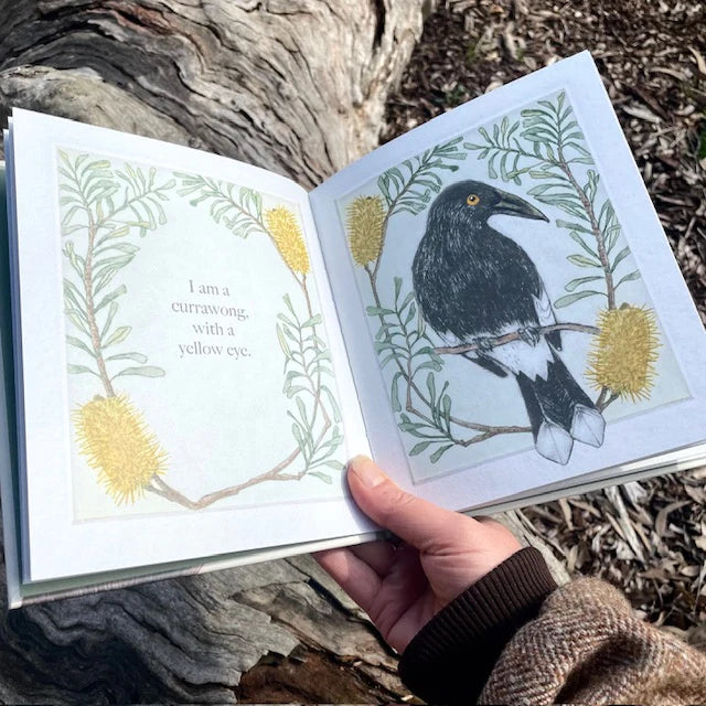 Bridget Farmer Book - I am a Magpie, I am a Currawong