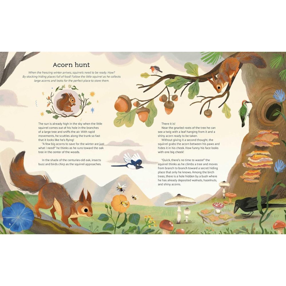 Little Stories from Nature