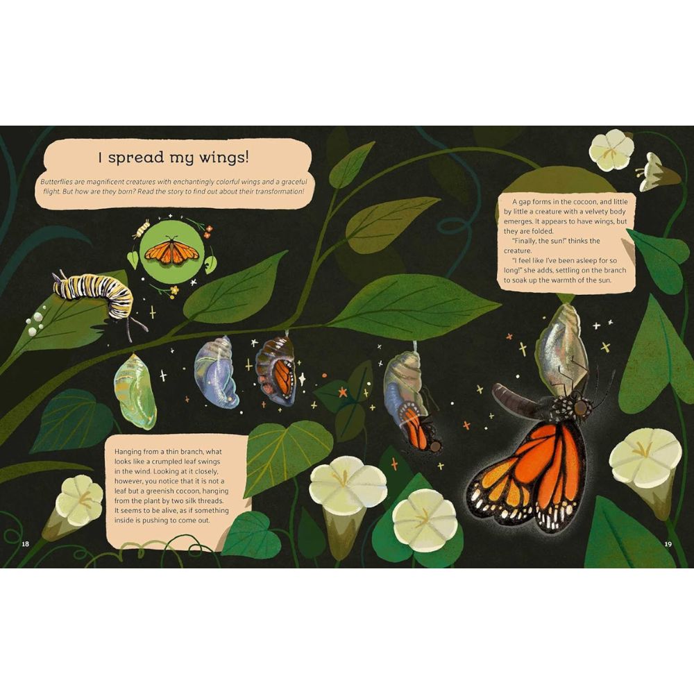 Little Stories from Nature