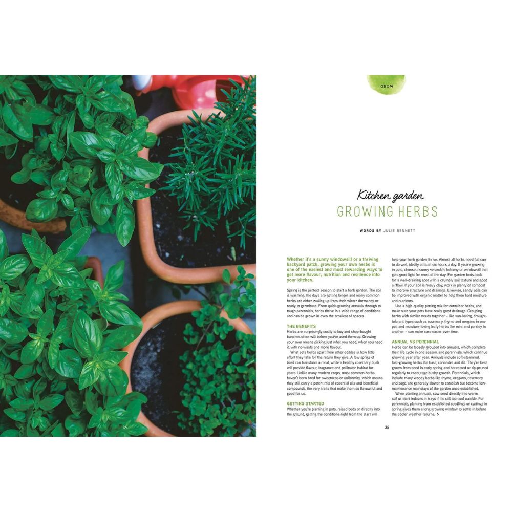 Pip Magazine - Issue 37