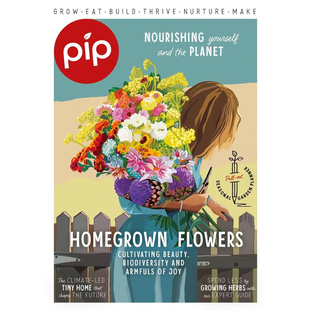 Pip Magazine - Issue 37