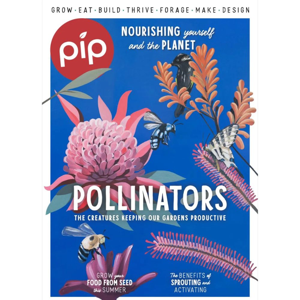 Pip Magazine - Issue 41