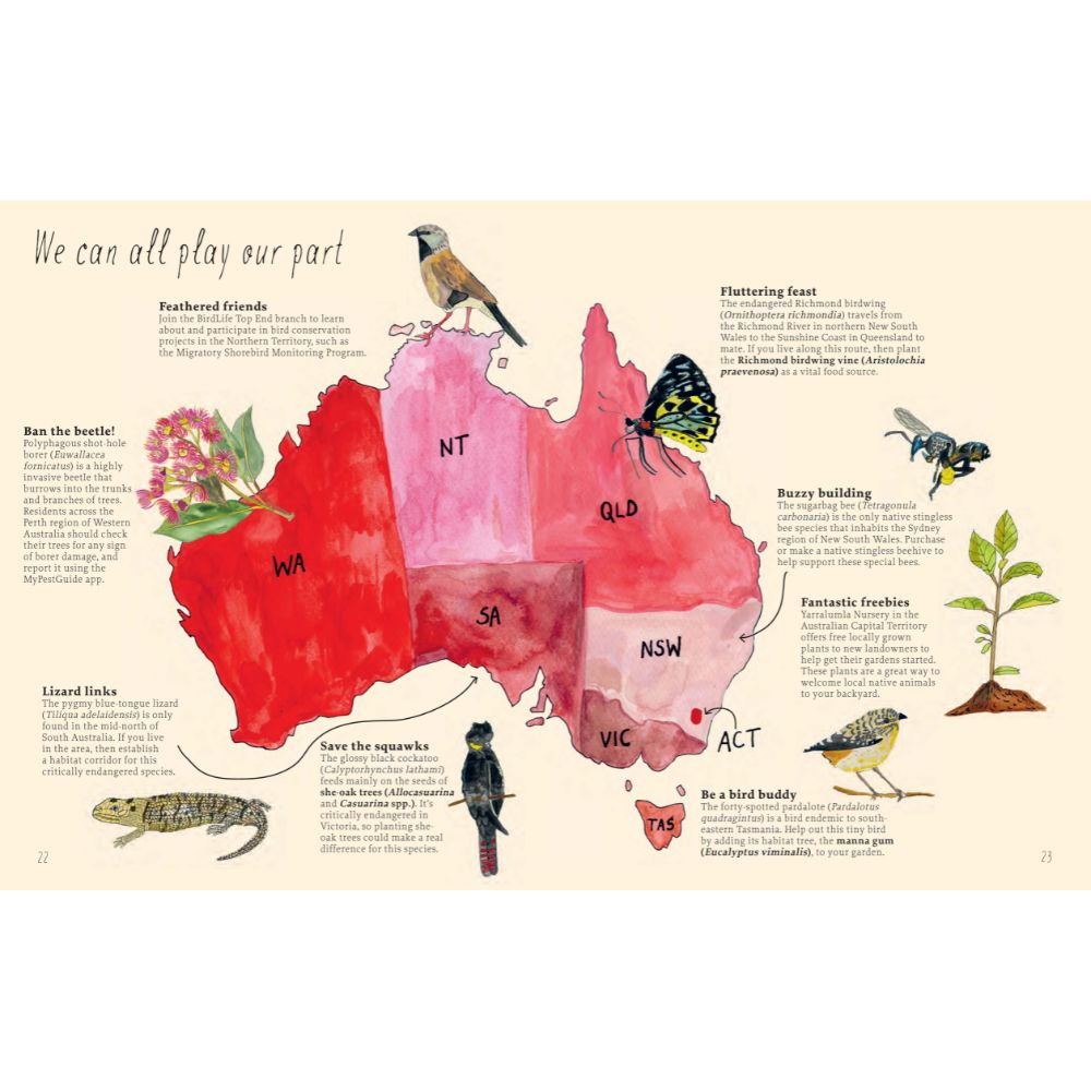 Planting For Native Birds, Bees and Butterflies