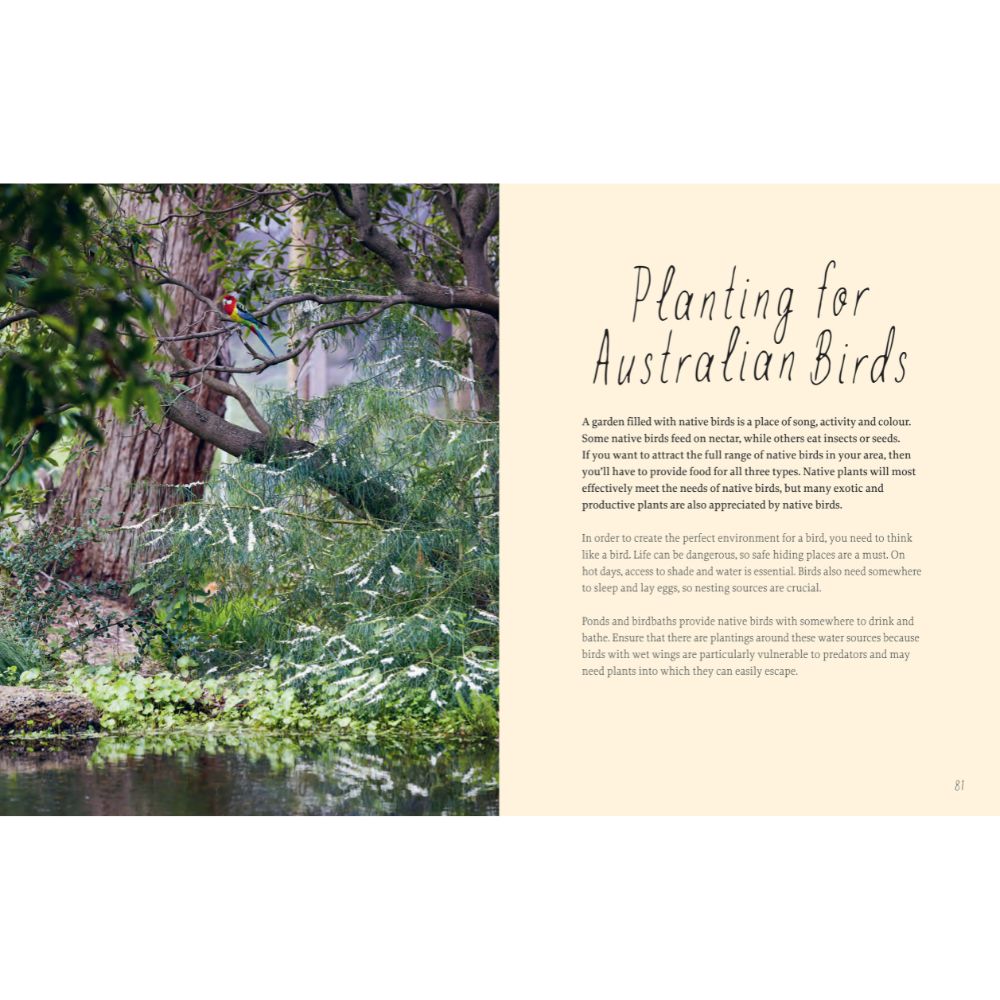 Planting For Native Birds, Bees and Butterflies