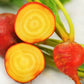 Little Veggie Patch Heirloom Seeds - Beetroot (Golden Boy)