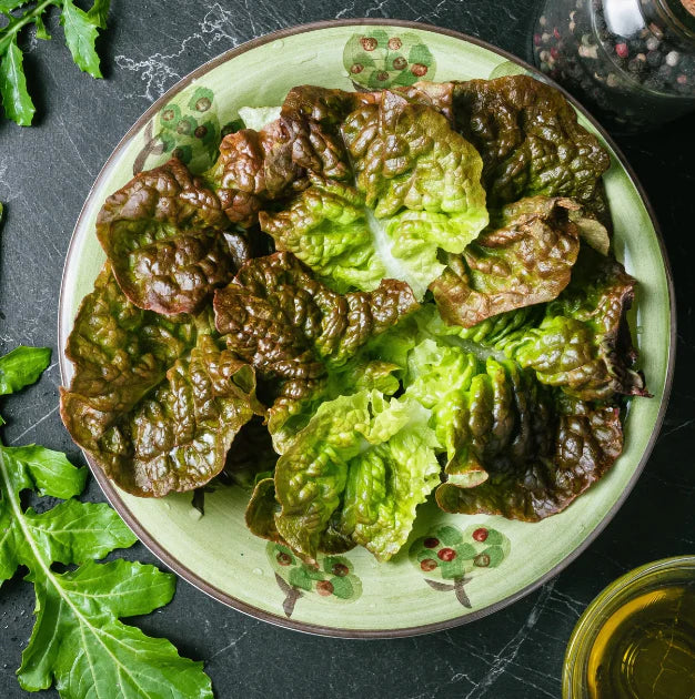 Little Veggie Patch Heirloom Seeds - Lettuce (Mignonette Bronze)