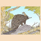 Sunshine Sea Art Greeting Card - Short Beaked Echidna