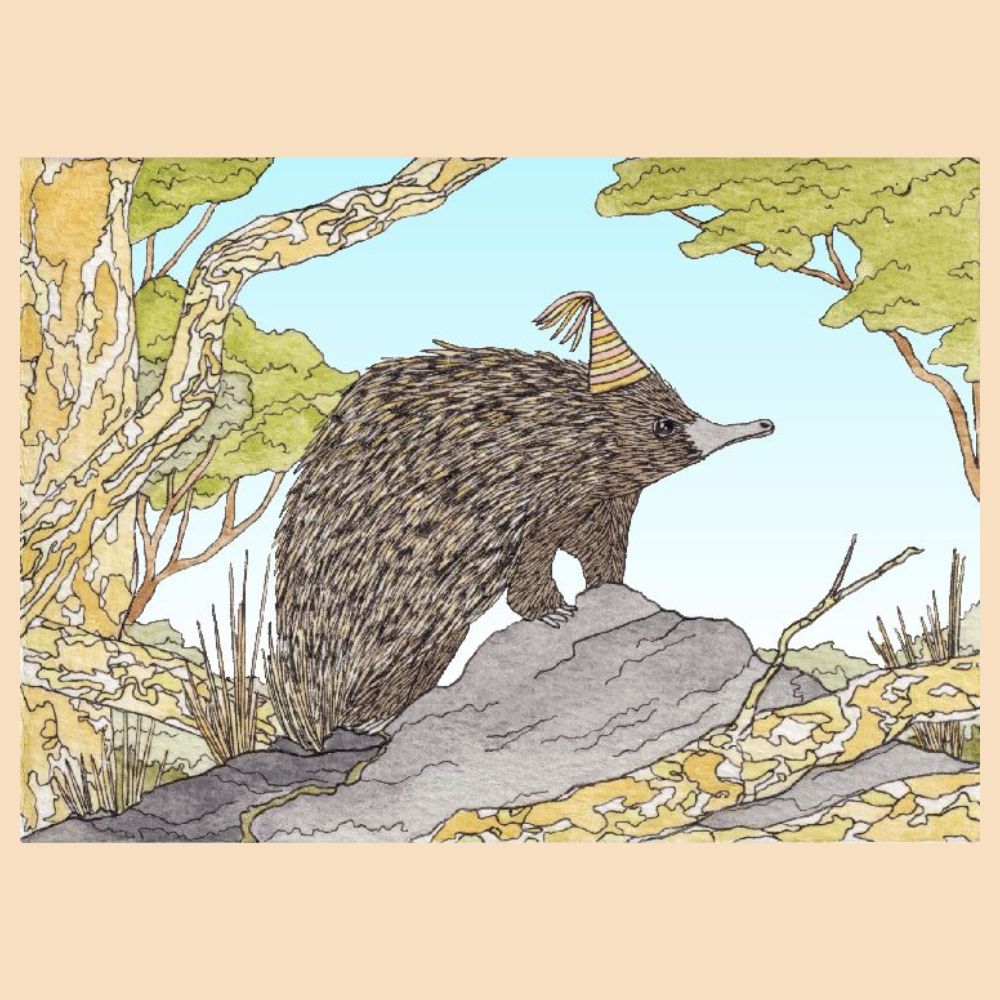 Sunshine Sea Art Greeting Card - Short Beaked Echidna