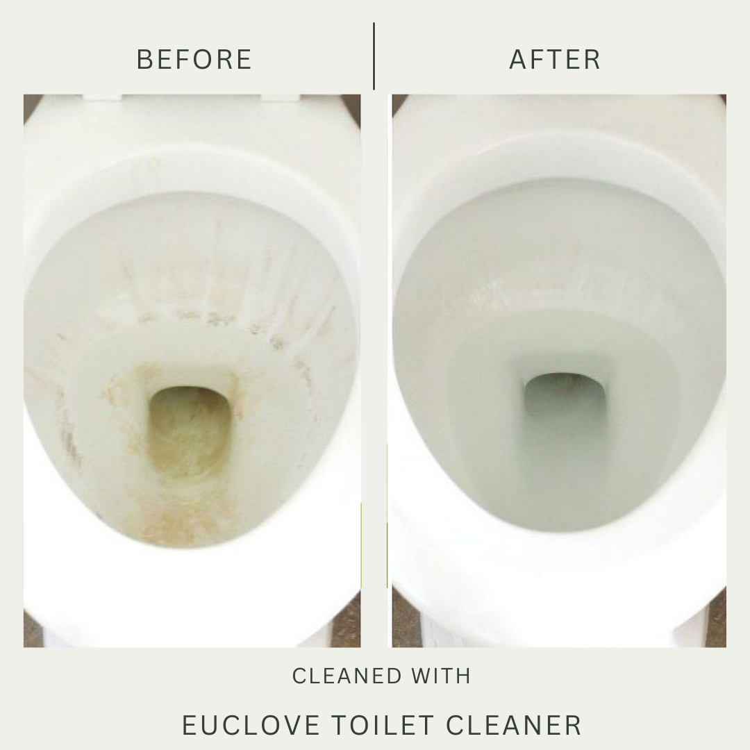 Euclove Non-Toxic Toilet Cleaner 500ml (SPRAY)