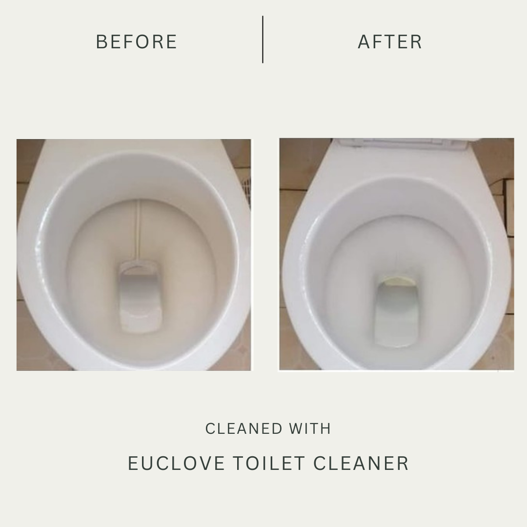 Euclove Non-Toxic Toilet Cleaner 500ml (SPRAY)