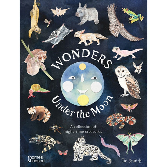 Wonders Under the Moon