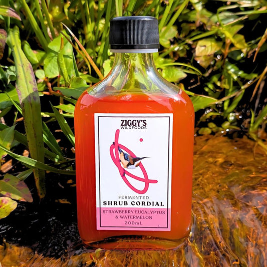 Ziggy's Wild Foods Strawberry Eucalyptus & Watermelon Shrub Cordial 200ml